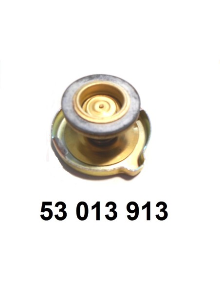 bouchon de vase d'expansion