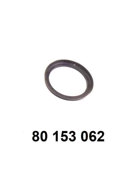manchette intérieure de piston PDF.