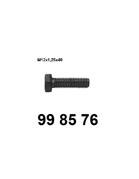 vis de fixation M12x1,25x40.