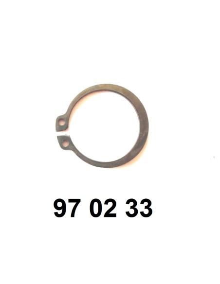 circlips